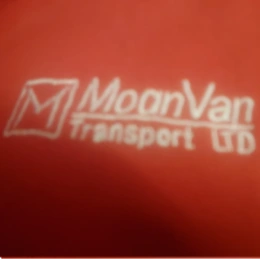 Man Van Transport