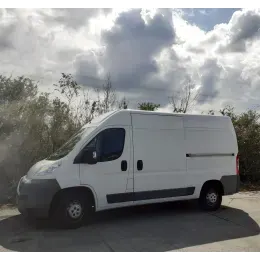 A And P LOUGHRAN Removals